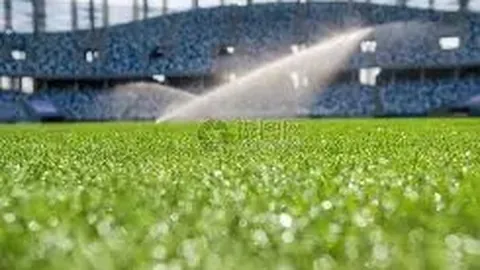 网球高手热议：球质下降，球速变慢且易漏气